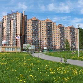 Купить однокомнатную квартиру в доме у Липовой аллеи в Санкт-Петербурге и ЛО - изображение 4