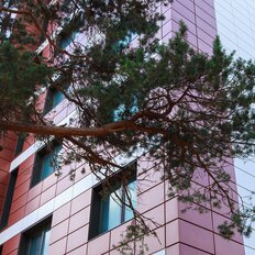 Квартира 42 м², 2-комнатные - изображение 4