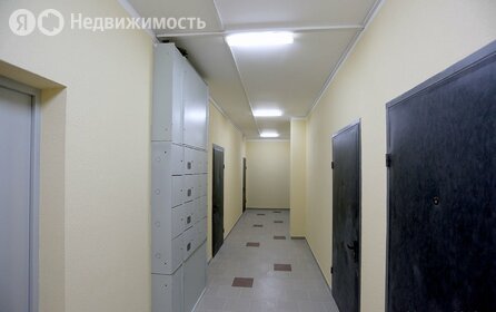 33 м², квартира-студия 3 900 000 ₽ - изображение 4