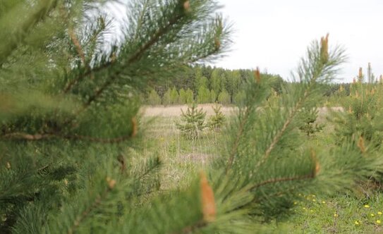 Коттеджные поселки в Московской области - изображение 53