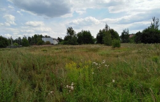 Коттеджные поселки в Московской области - изображение 49