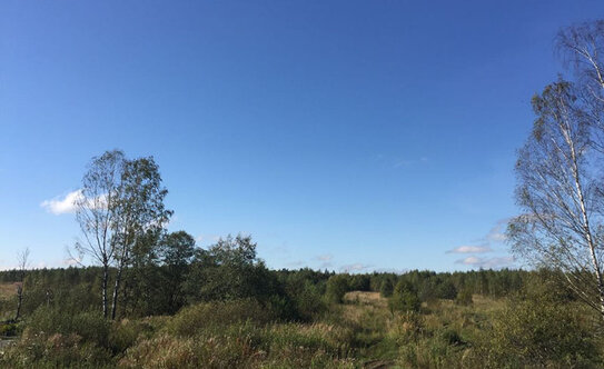 Коттеджные поселки в Московской области - изображение 35