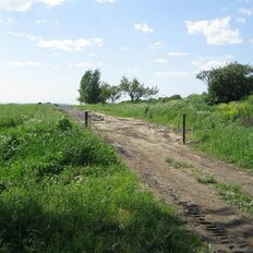 Деревня «Алакюля», Ломоносовский район - изображение 11