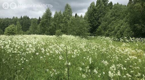 Коттеджные поселки в Дмитровском городском округе - изображение 52