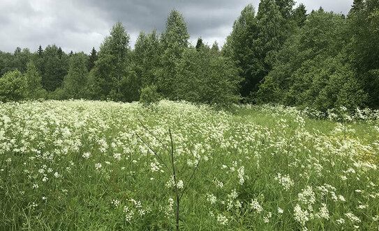 Коттеджные поселки в Московской области - изображение 30