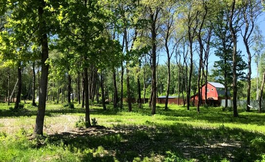 Коттеджные поселки в Московской области - изображение 24