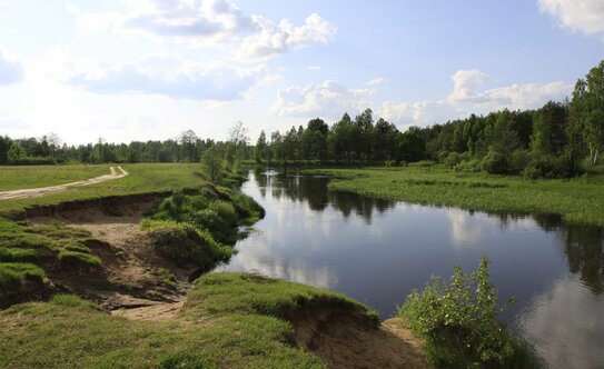 Коттеджные поселки в Московской области - изображение 15