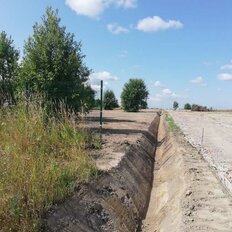 Коттеджный посёлок «Дружное», Всеволожский район - изображение 14