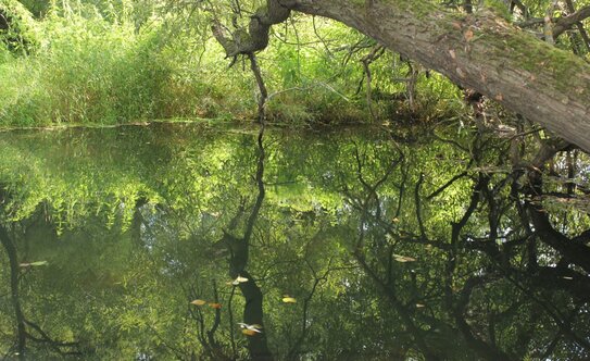 Коттеджные поселки в Московской области - изображение 18