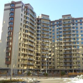 Купить квартиру с современным ремонтом в ЖК «Березовая роща» в Москве и МО - изображение 5
