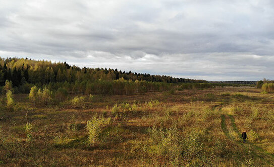 Коттеджные поселки в Московской области - изображение 10