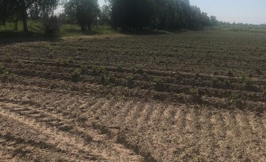 Коттеджные поселки в Московской области - изображение 17