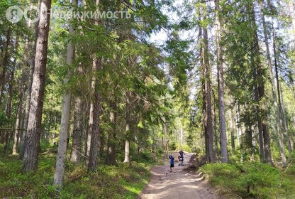 Коттеджные поселки в Санкт-Петербурге и ЛО - изображение 30