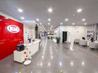 Оф дилер kia