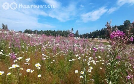 Коттеджные поселки в Всеволожском районе - изображение 41