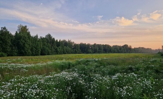 Коттеджные поселки в Ленинградской области - изображение 10