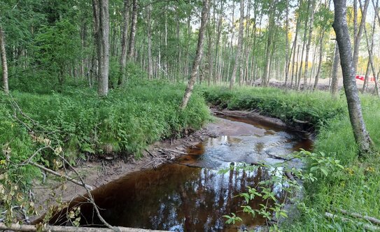 Коттеджные поселки в Ленинградской области - изображение 13