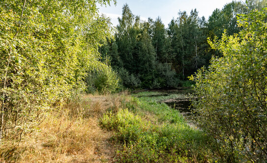 Коттеджные поселки во Фрязино - изображение 20