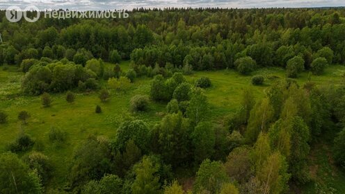 Коттеджные поселки в Санкт-Петербурге и ЛО - изображение 50