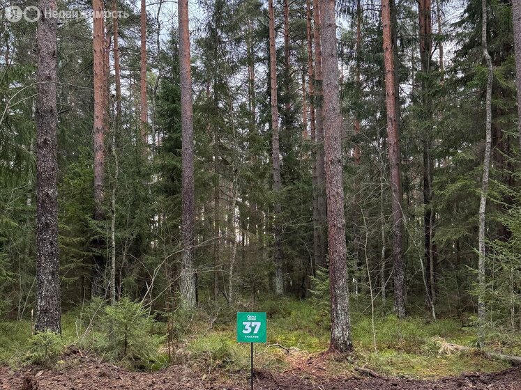 Коттеджный посёлок «Образ Жизни. Парковая деревня», Всеволожский район - изображение 3