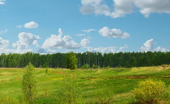 Коттеджные поселки в Республике Татарстан - изображение 13