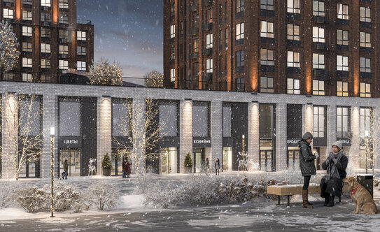 микрорайон «Звездный» - изображение 3