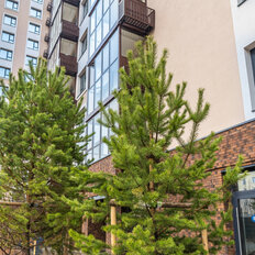 Квартира 75 м², 3-комнатная - изображение 4