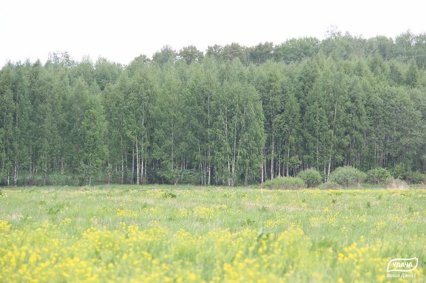Посёлок «Спутник», Можайский округ - изображение 8