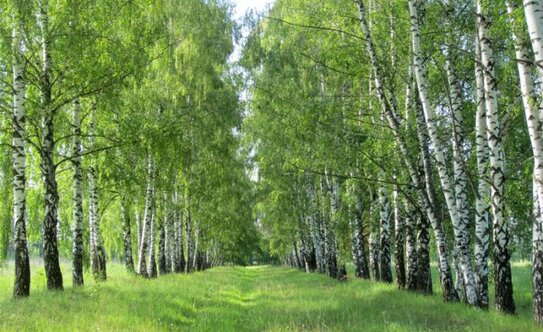 Коттеджные поселки в Московской области - изображение 11