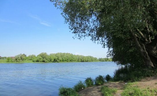 Коттеджные поселки в Воскресенске - изображение 8