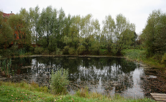 Коттеджные поселки в Московской области - изображение 49