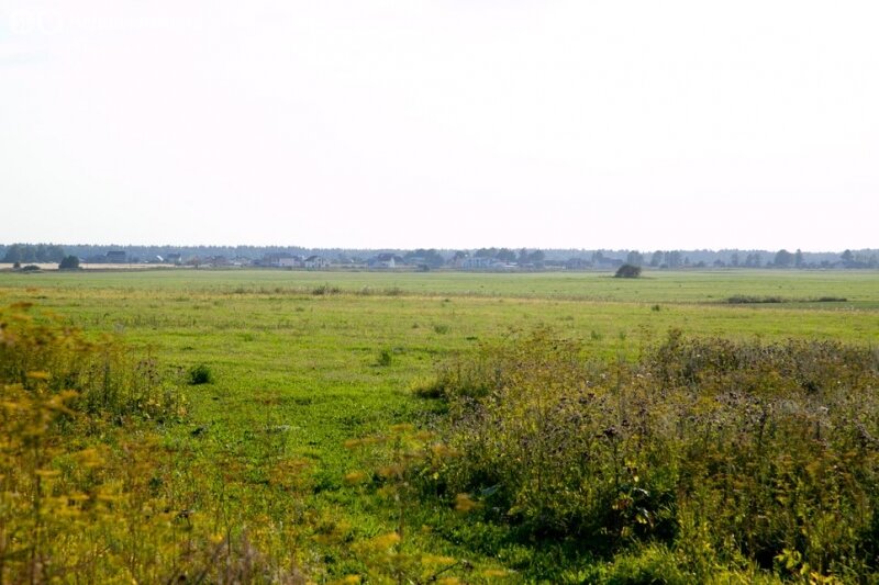 Коттеджный посёлок «Раздолье», Ломоносовский район - изображение 7