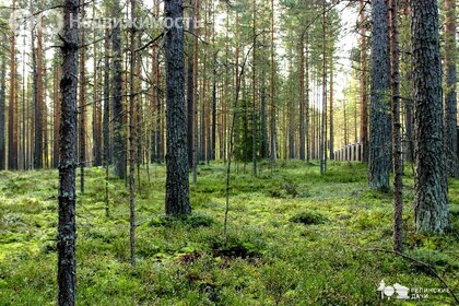 Коттеджные поселки в Выборгском районе - изображение 32