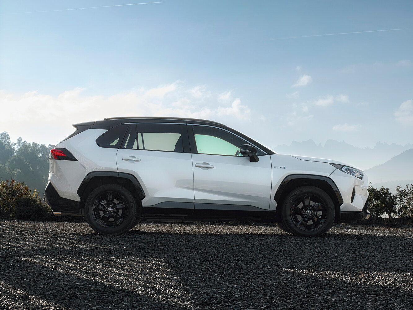 Toyota RAV4, вид 2