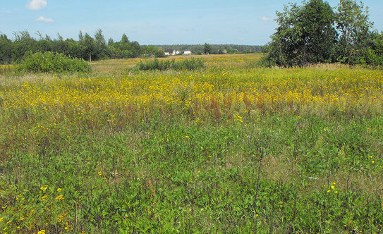 Коттеджные поселки в Московской области - изображение 39