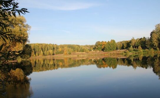 Коттеджные поселки в Московской области - изображение 22