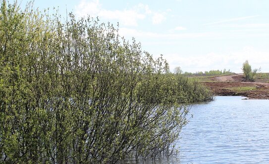 Коттеджные поселки в Московской области - изображение 15