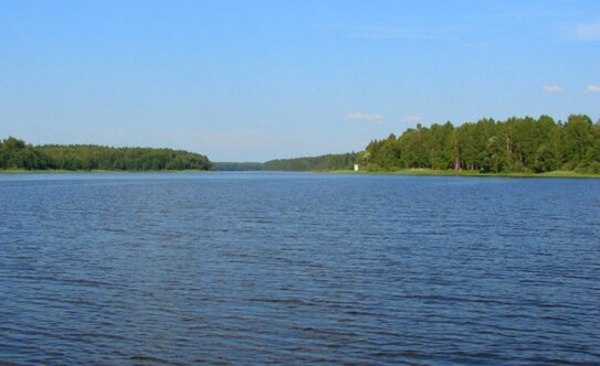 Коттеджные поселки в Московской области - изображение 24