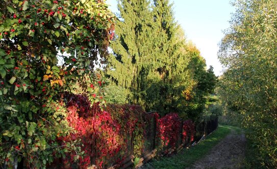 Коттеджные поселки в Московской области - изображение 25