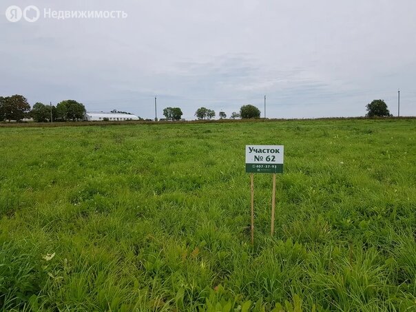 Клубный посёлок «Бельведер парк», Ломоносовский район - изображение 16