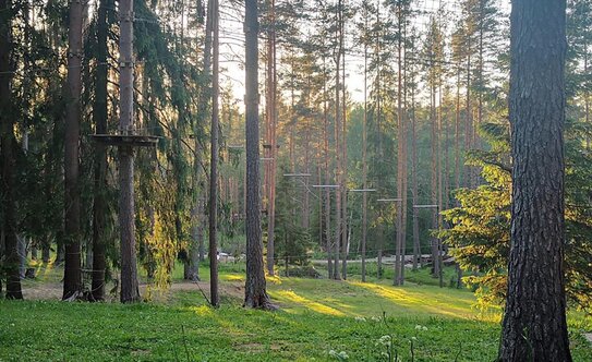 Коттеджные поселки в Ленинградской области - изображение 16