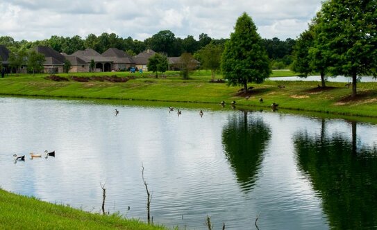 Коттеджные поселки в Московской области - изображение 11