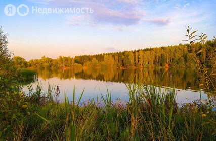 Коттеджные поселки в Городском округе Домодедово - изображение 35