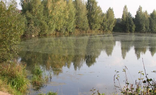 Коттеджные поселки в Московской области - изображение 27