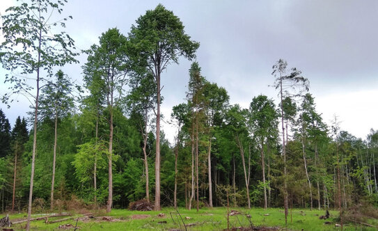 Коттеджные поселки в Московской области - изображение 4