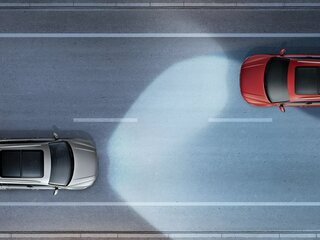 Ассистент управления головным светом Dynamic Light Assist