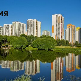 Купить трехкомнатную квартиру рядом с озером в ЖК «София» в Санкт-Петербурге и ЛО - изображение 2