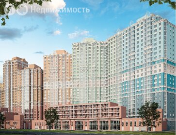 Новостройка, Проспект Просвещения