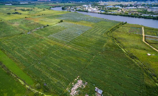 Коттеджные поселки в Московской области - изображение 7