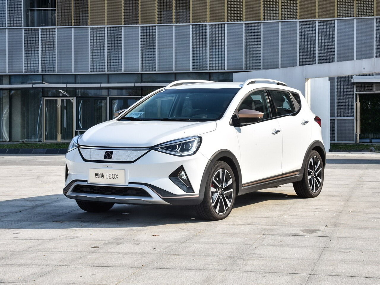 JAC Sehol E20X Основной вид
